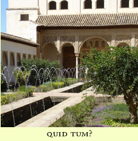 quid tum