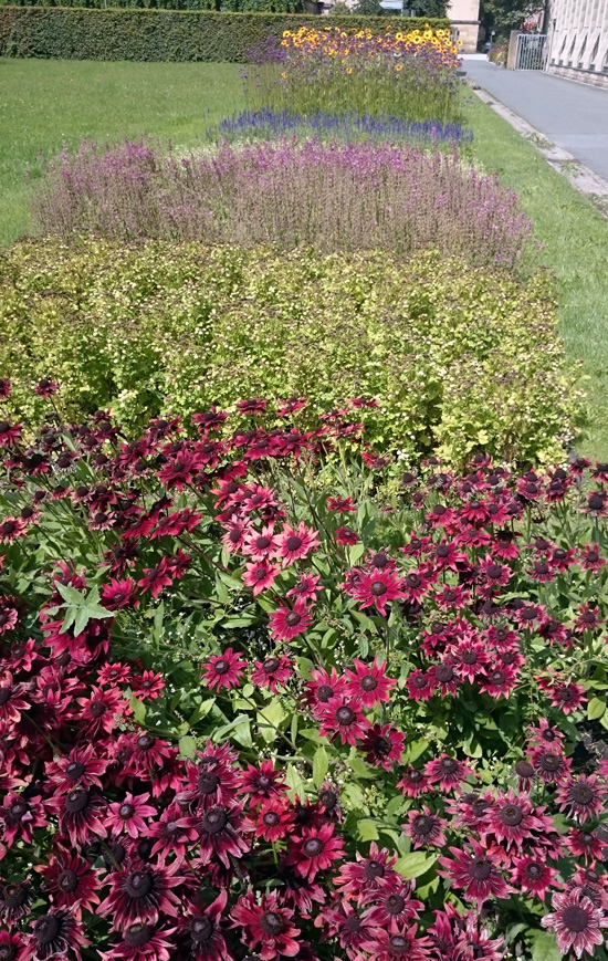 Herbaceous Border, Hofgarten, Bayreuth