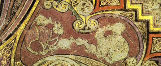 chi rho cats