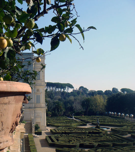 Orange Trees, Villa Doria Pamphilj