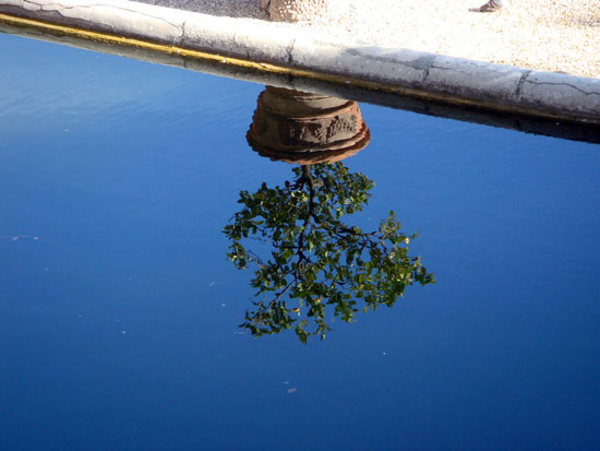 Orange Trees, Villa Doria Pamphilj