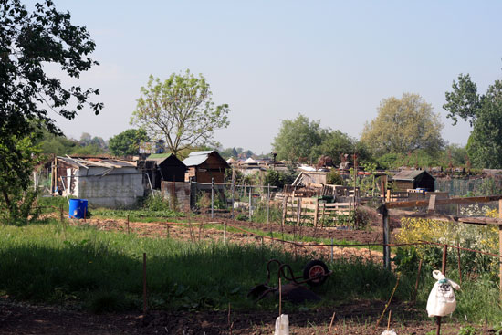 Kingston Road allotments