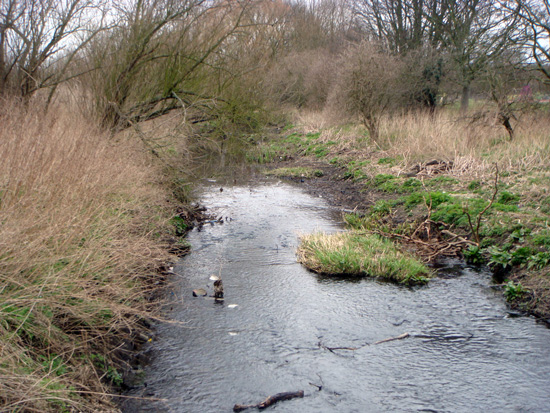 Hogsmill River, Berrylands