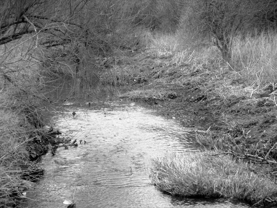 Hogsmill River