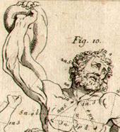 Laocoön