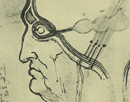 da vinci optic nerve