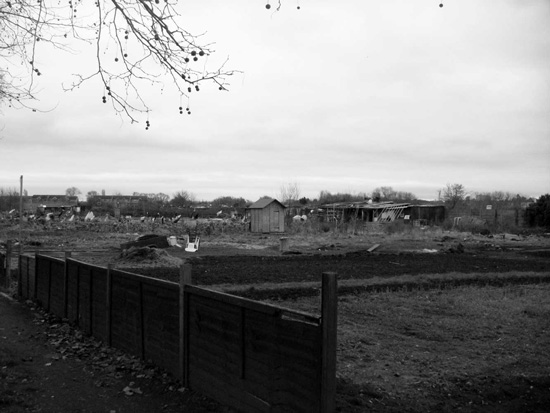 Kingston Road Allotments