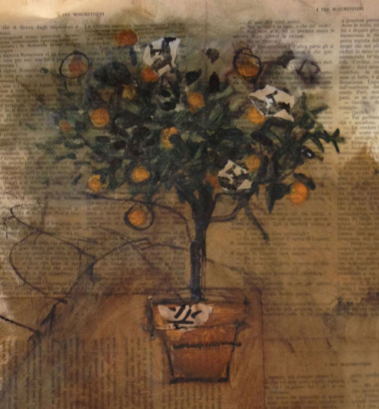 Orange Tree, Matthew Roy Coleman