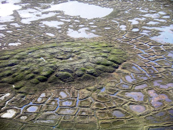 Melting Hydrolaccoliths near Tuktoyaktuk, Northwest Territories, Canada