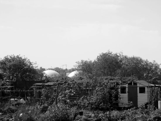 Norbiton Allotments