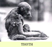 thoth